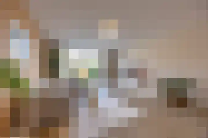 Kerstanjeburch 1 Rijswijk thumbnail 7