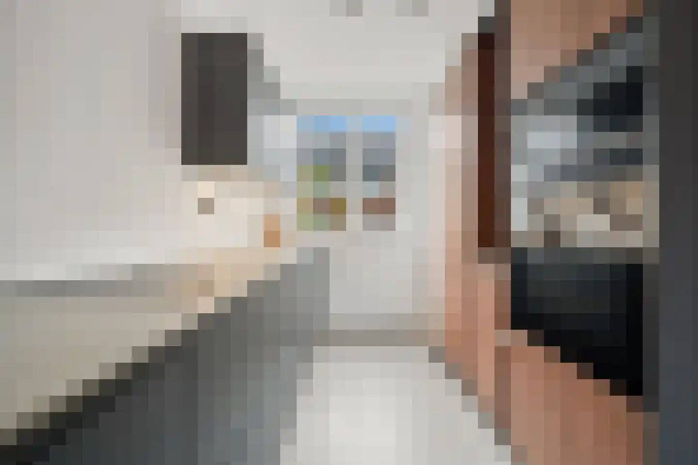 Kerstanjeburch 21 Rijswijk thumbnail 14
