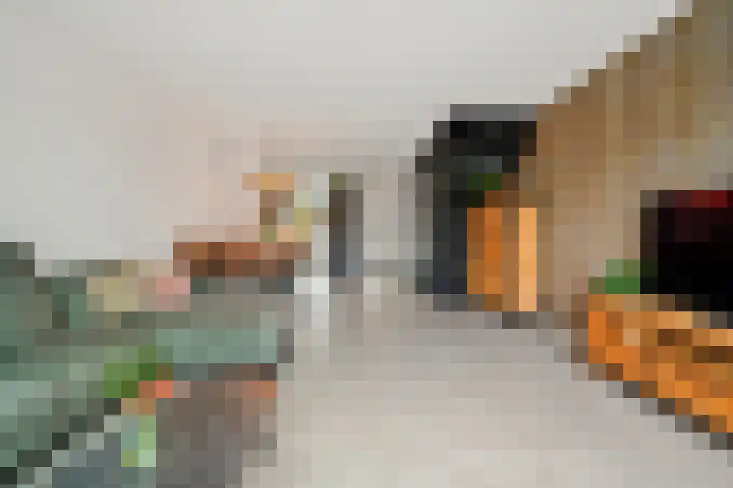 Kerstanjeburch 21 Rijswijk thumbnail 18