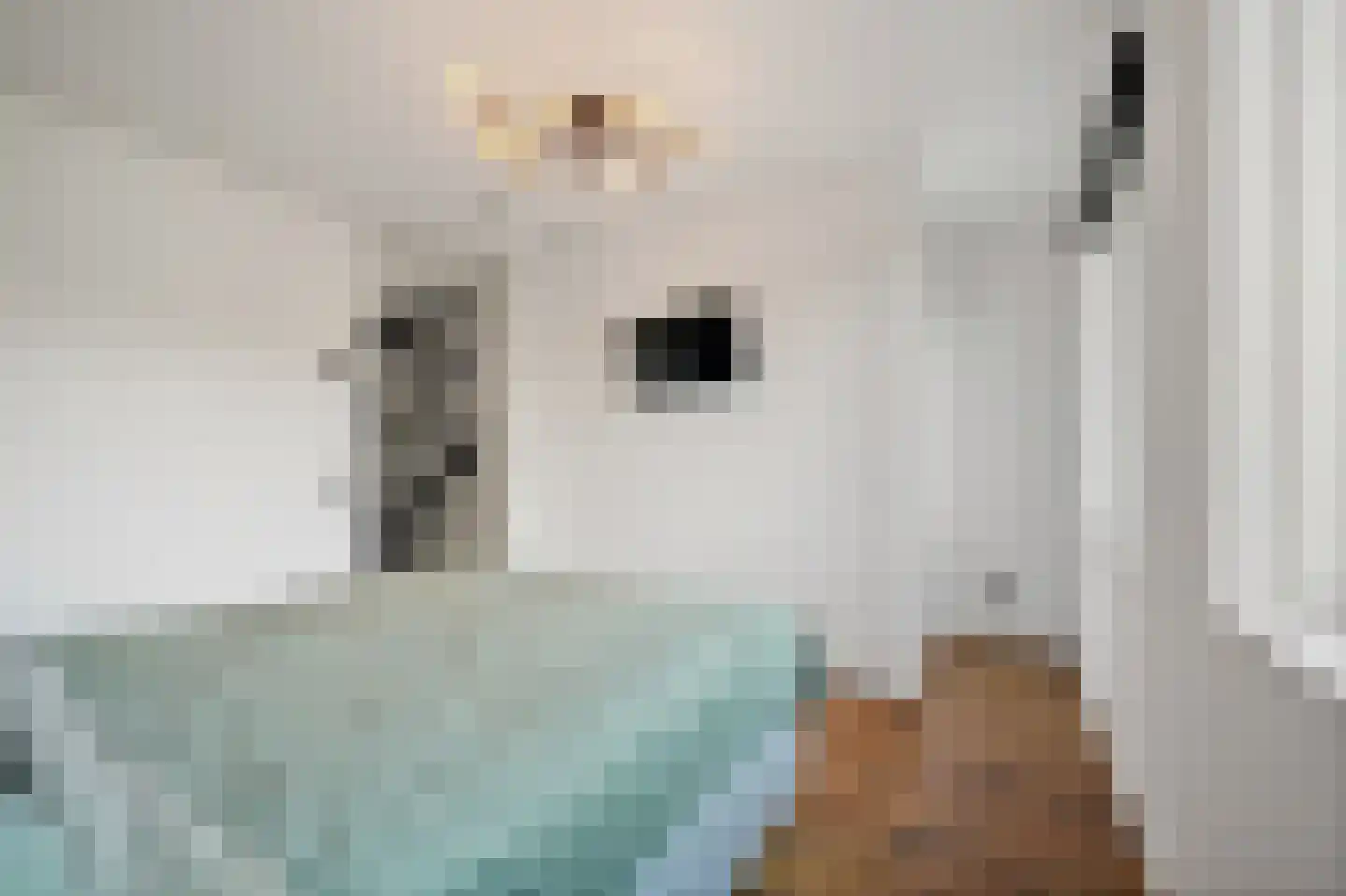 Kerstanjeburch 21 Rijswijk thumbnail 35