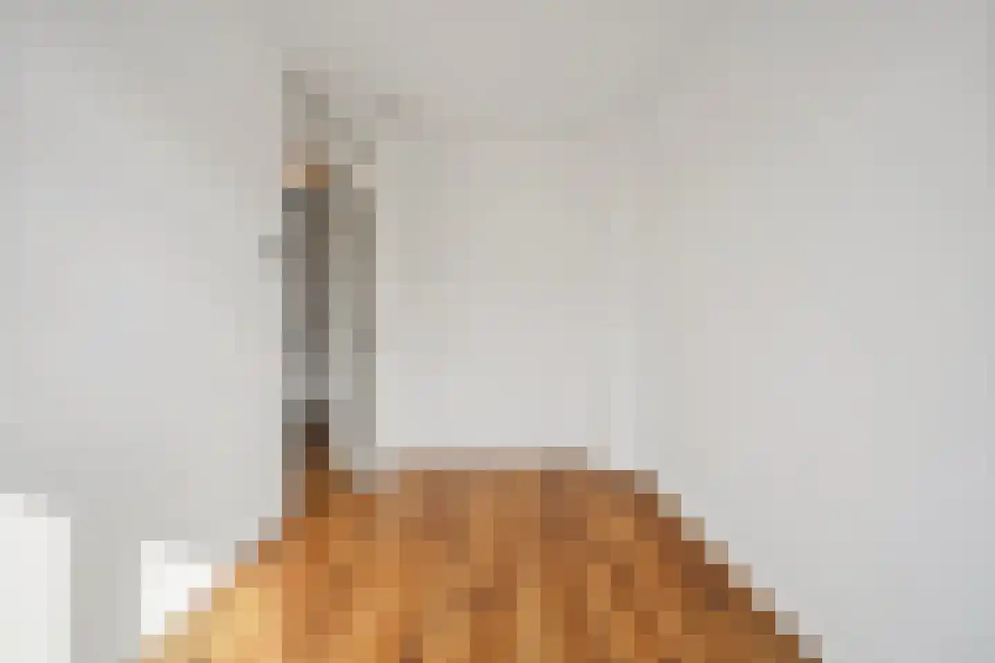 Kerstanjeburch 21 Rijswijk thumbnail 44