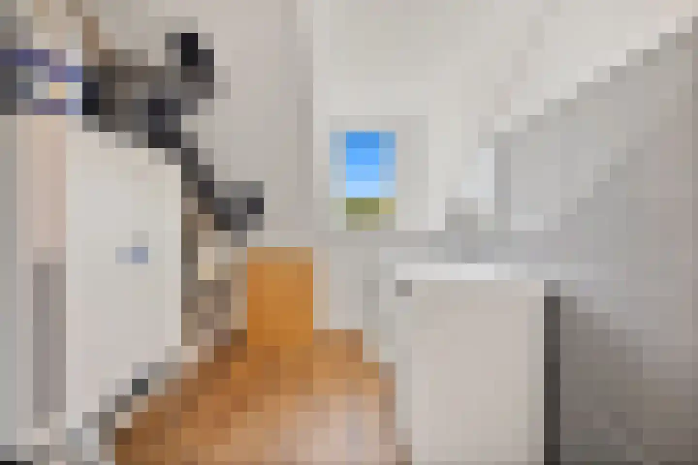 Kerstanjeburch 21 Rijswijk thumbnail 50