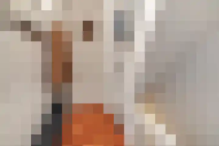 Kerstant van den Bergelaan 10 A Rotterdam thumbnail 24