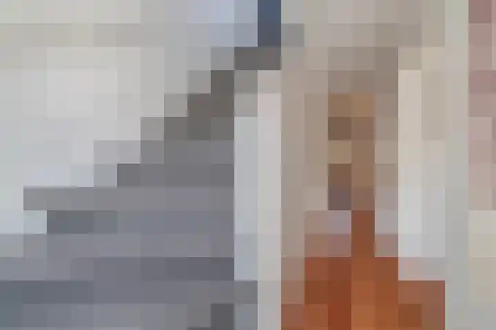 Kerstant van den Bergelaan 10 A Rotterdam thumbnail 26