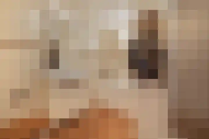 Kerstant van den Bergelaan 10 A Rotterdam thumbnail 31