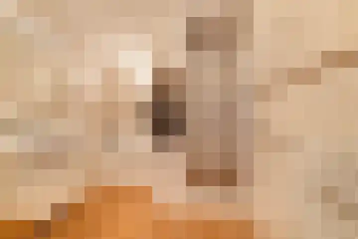 Kerstant van den Bergelaan 10 A Rotterdam thumbnail 32