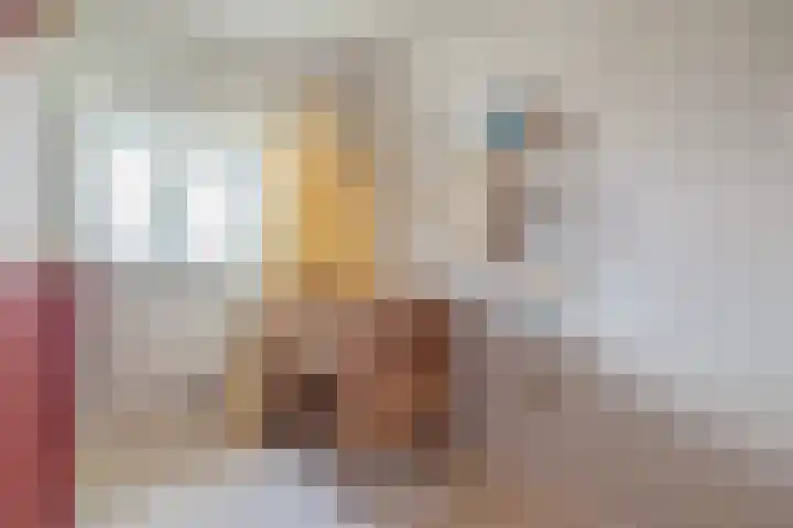 Kerstant van den Bergelaan 10 A Rotterdam thumbnail 37