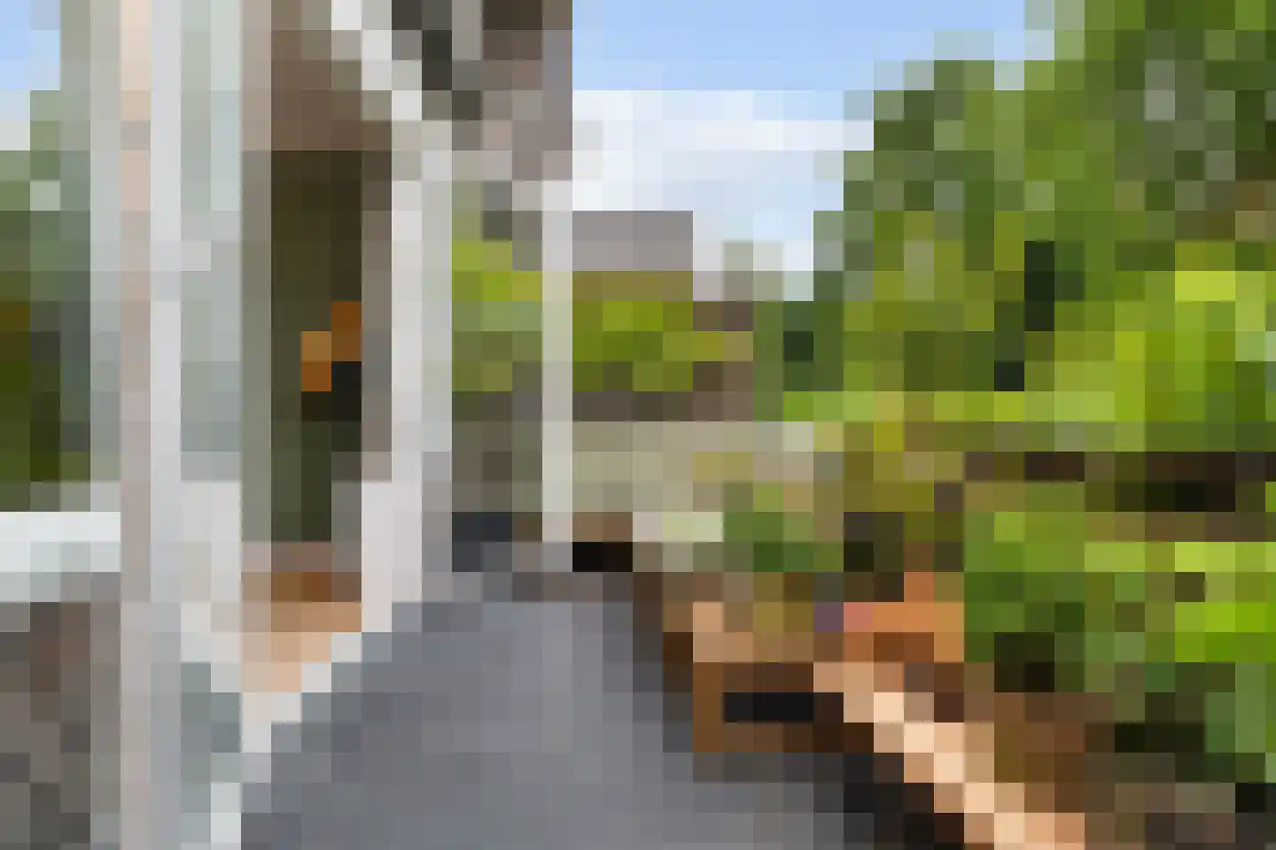 Kerstant van den Bergelaan 19 A Rotterdam thumbnail 12