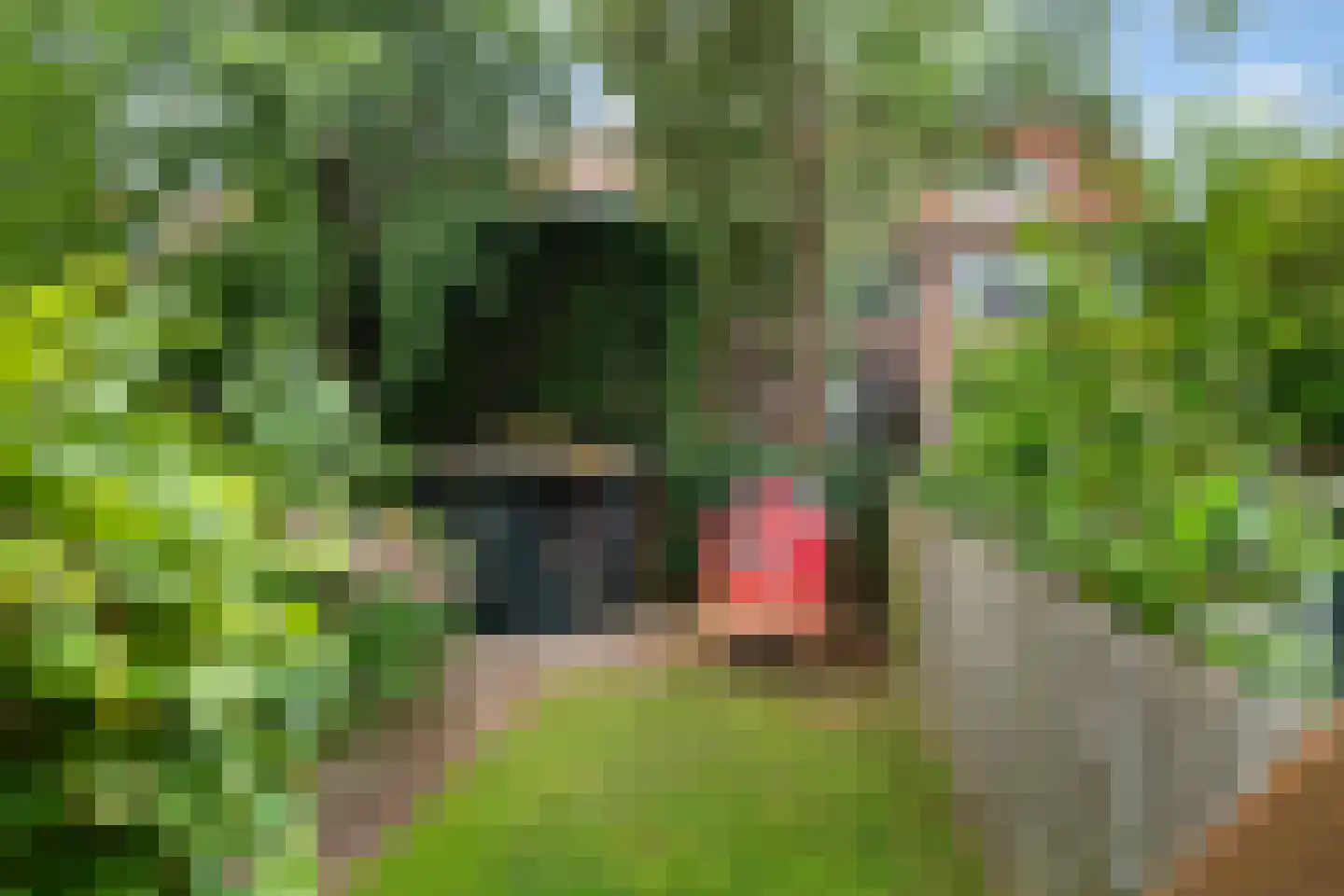 Kerstant van den Bergelaan 19 A Rotterdam thumbnail 13