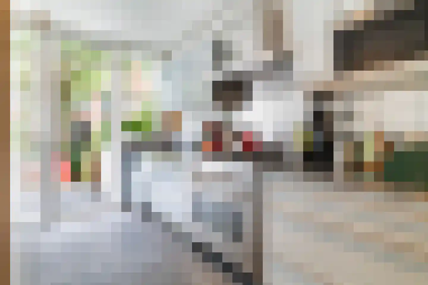 Kerstant van den Bergelaan 19 A Rotterdam thumbnail 16