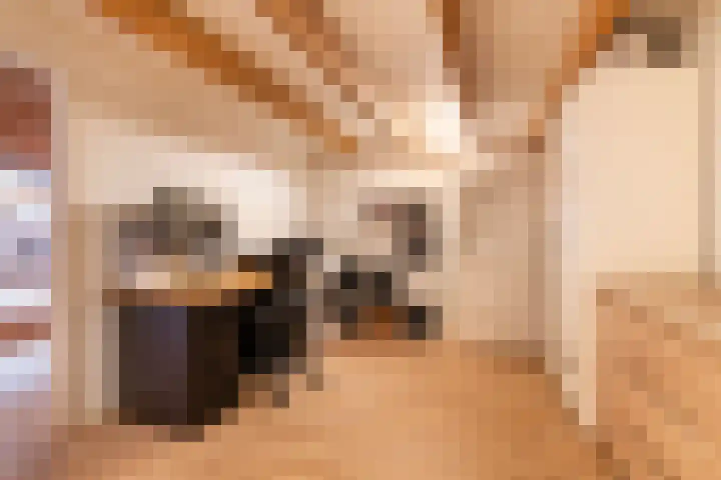 Kerstant van den Bergelaan 19 A Rotterdam thumbnail 19