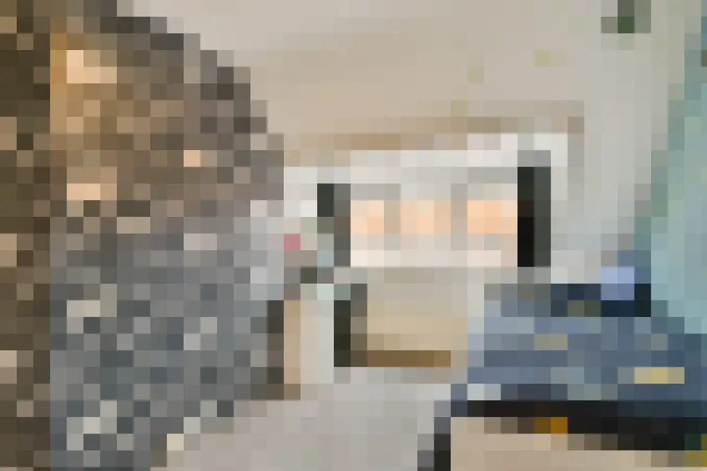Kerstant van den Bergelaan 19 A Rotterdam thumbnail 21