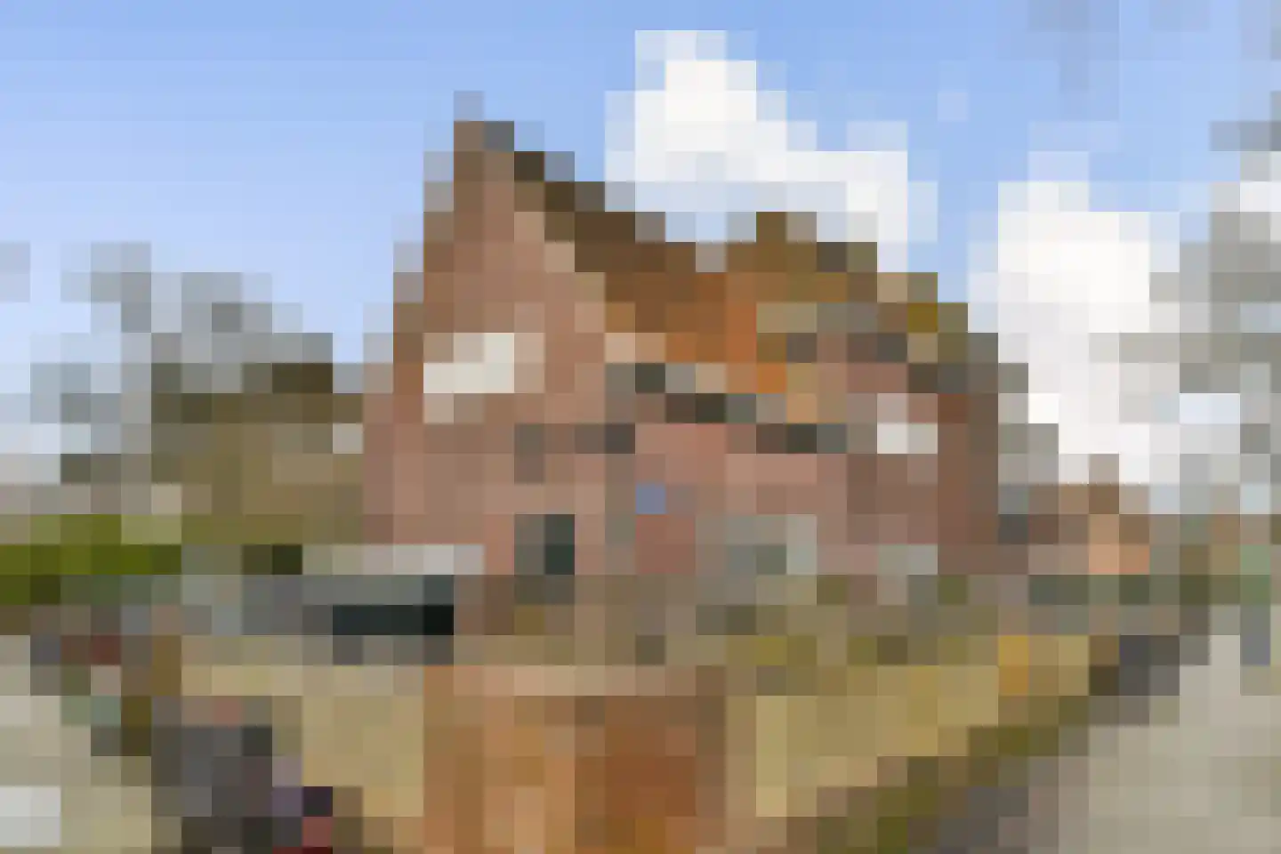 Kerstant van den Bergelaan 19 A Rotterdam thumbnail 27