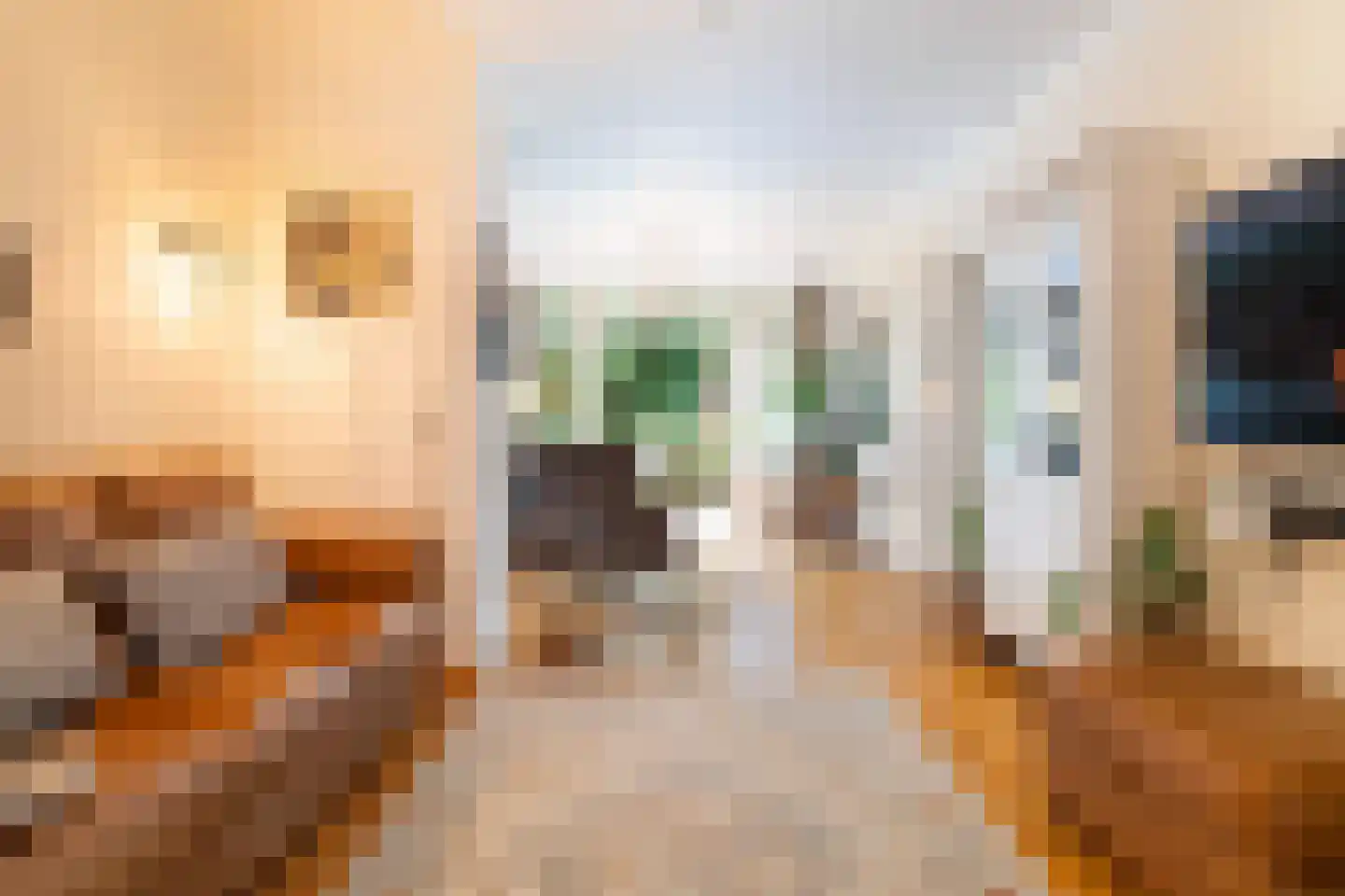 Kerstant van den Bergelaan 19 A Rotterdam thumbnail 8