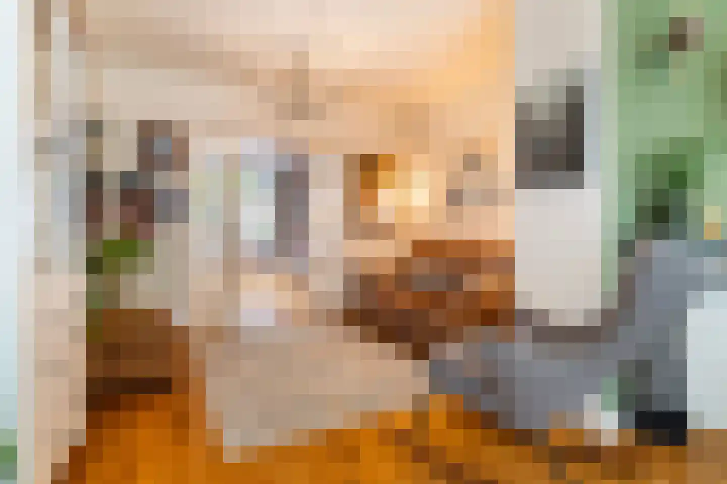 Kerstant van den Bergelaan 19 A Rotterdam thumbnail 9