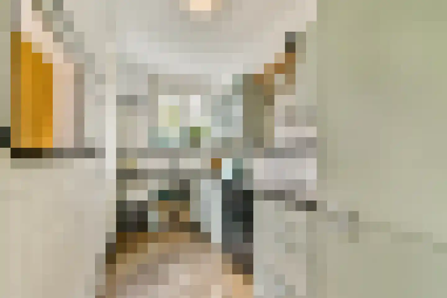 Kerstant van den Bergelaan 19 B Rotterdam thumbnail 11