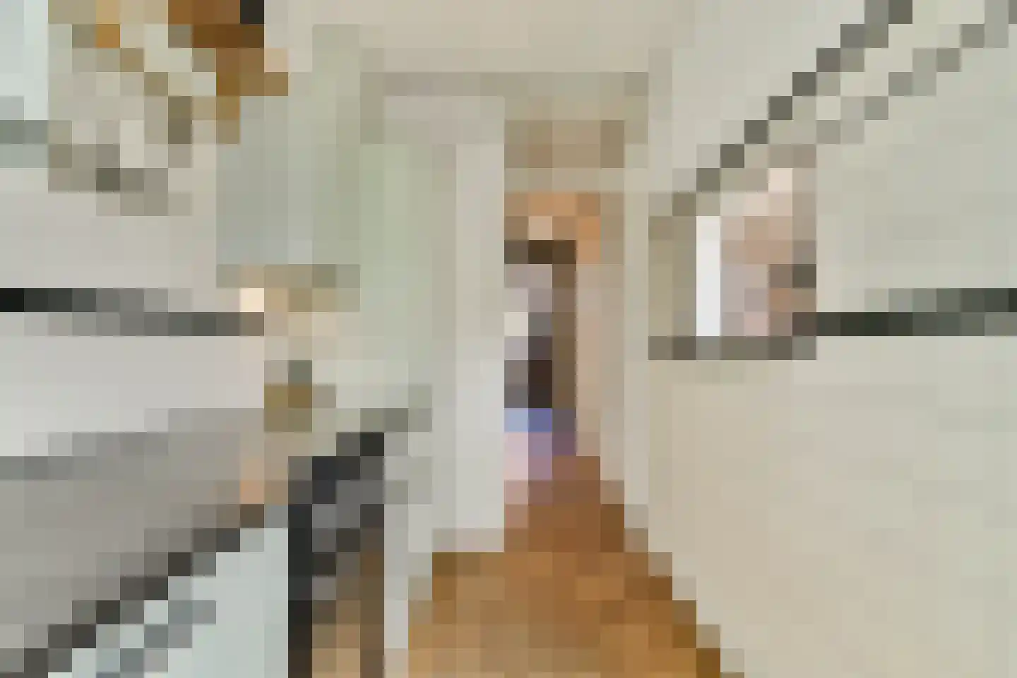 Kerstant van den Bergelaan 19 B Rotterdam thumbnail 12