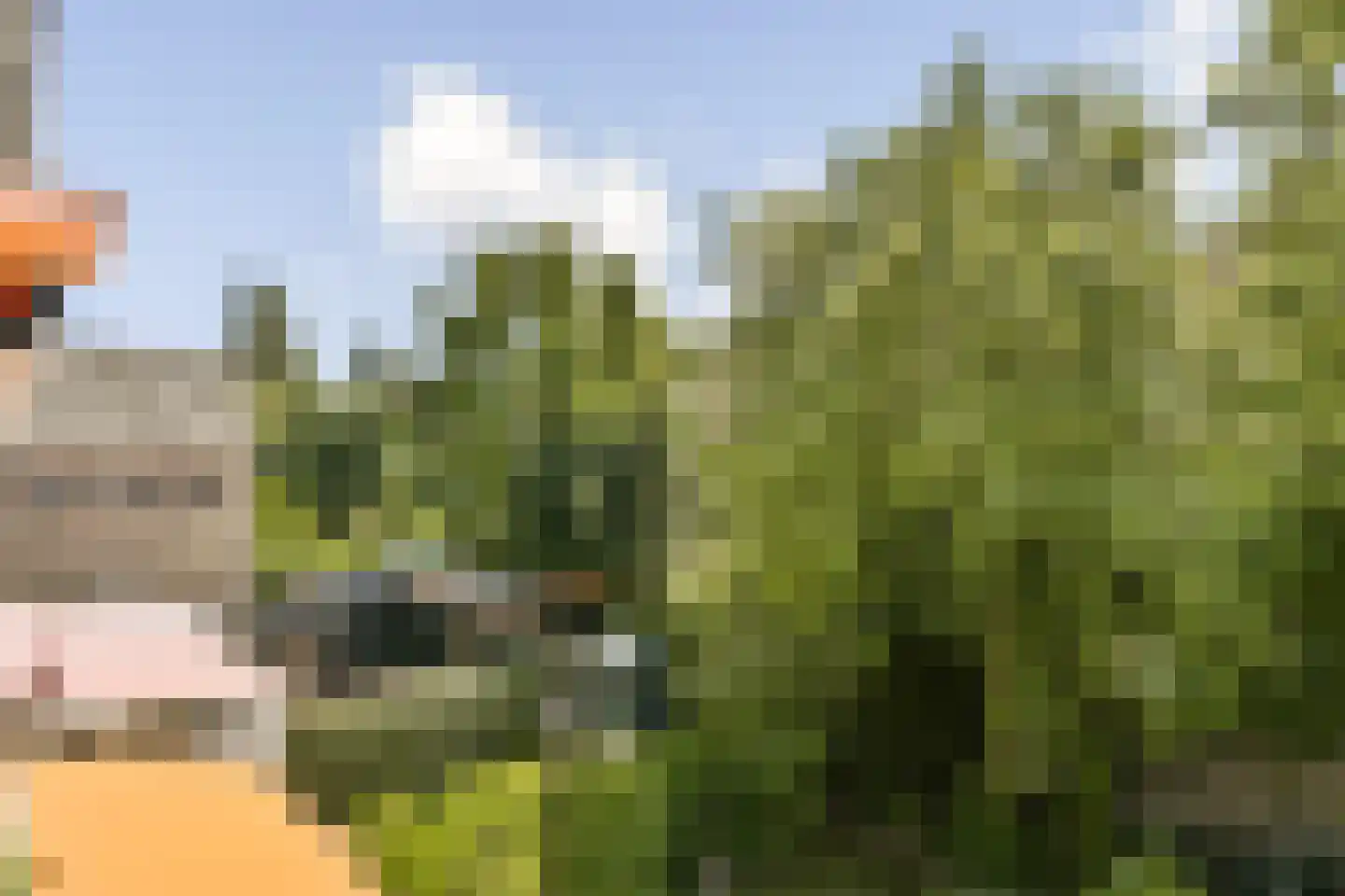Kerstant van den Bergelaan 19 B Rotterdam thumbnail 13