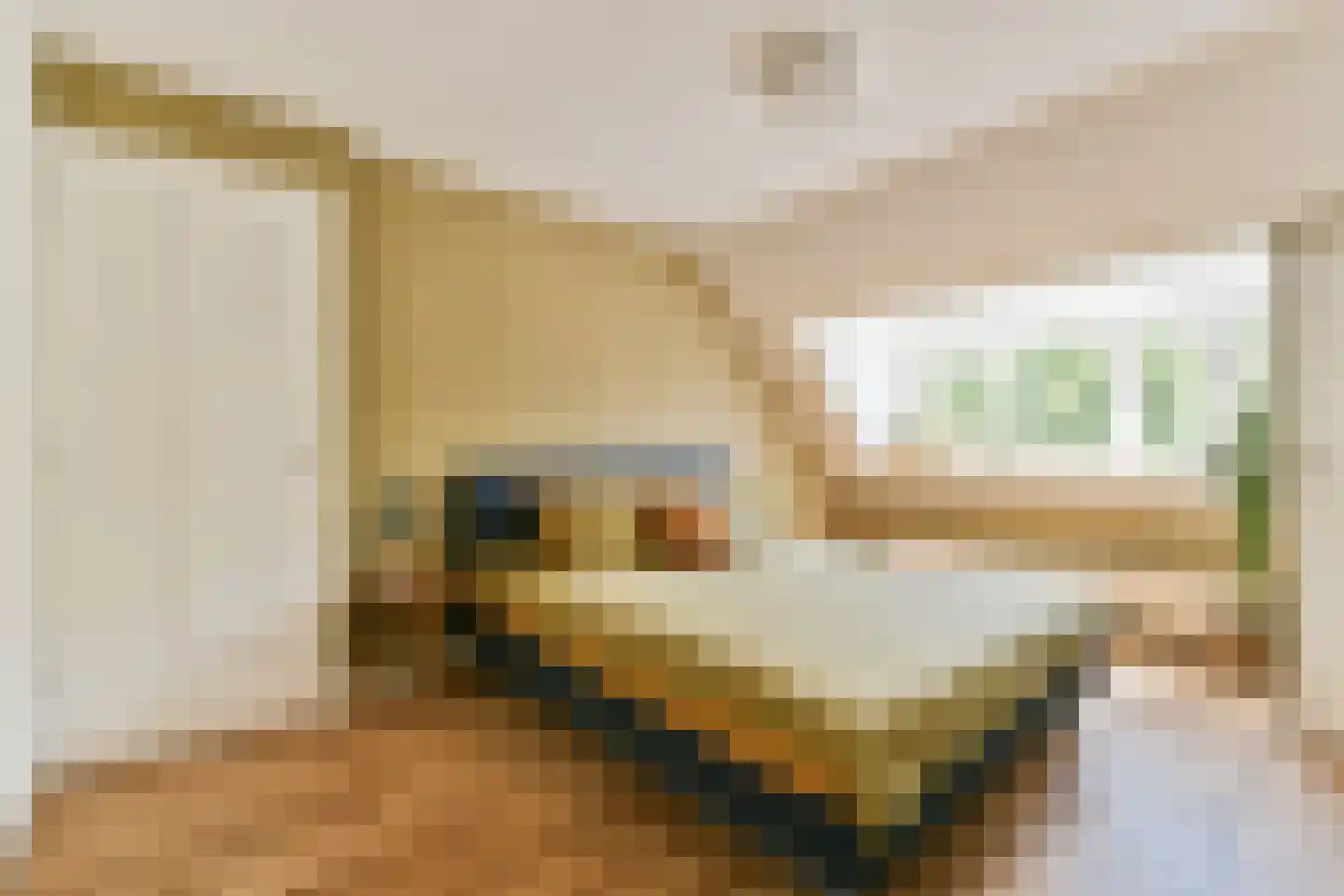 Kerstant van den Bergelaan 19 B Rotterdam thumbnail 20