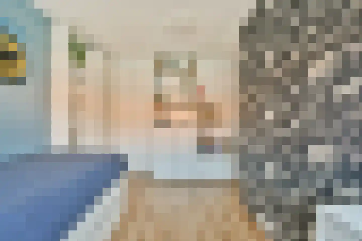 Kerstant van den Bergelaan 19 B Rotterdam thumbnail 26