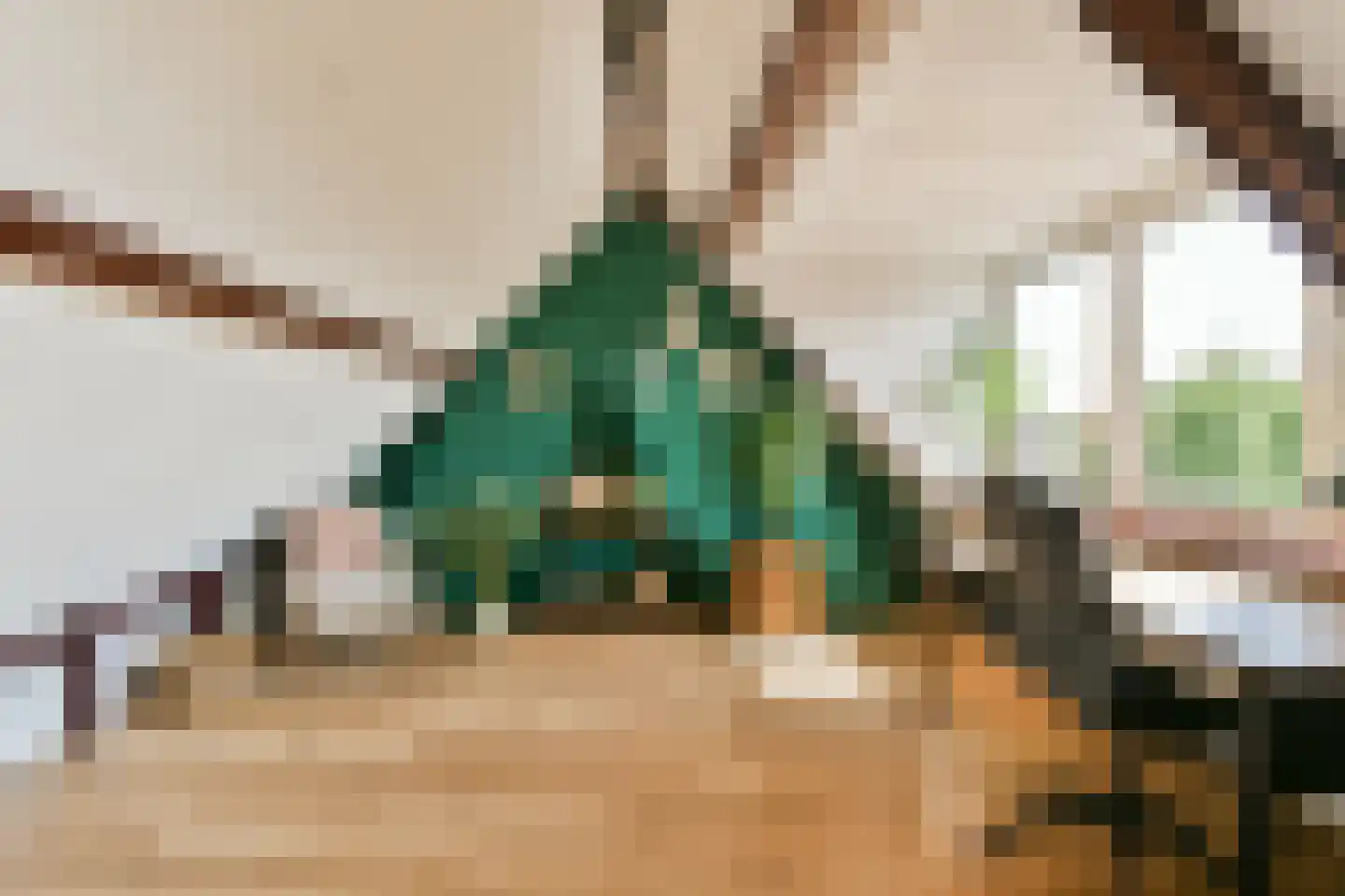 Kerstant van den Bergelaan 19 B Rotterdam thumbnail 27