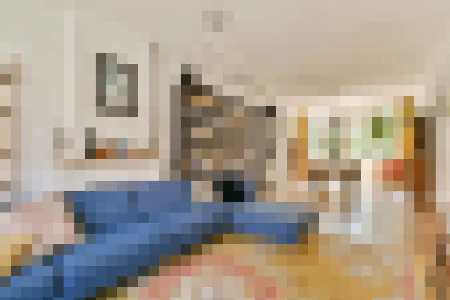 Kerstant van den Bergelaan 19 B Rotterdam thumbnail 8