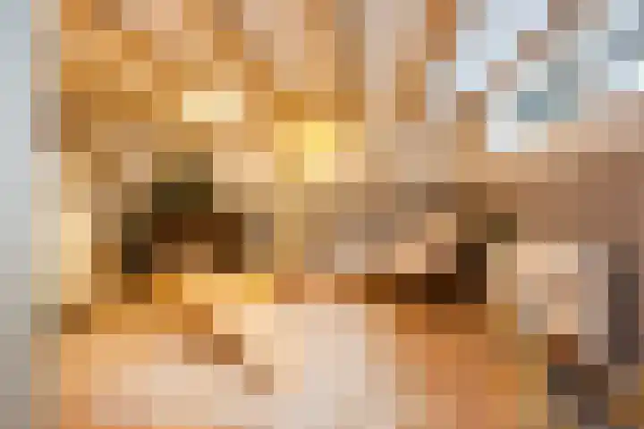 Kerstant van den Bergelaan 21 A Rotterdam thumbnail 22