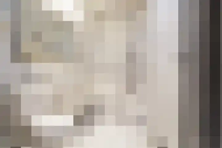 Kerstant van den Bergelaan 21 A Rotterdam thumbnail 24