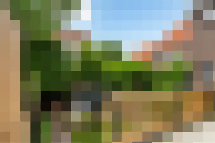 Kerstant van den Bergelaan 21 A Rotterdam thumbnail 25