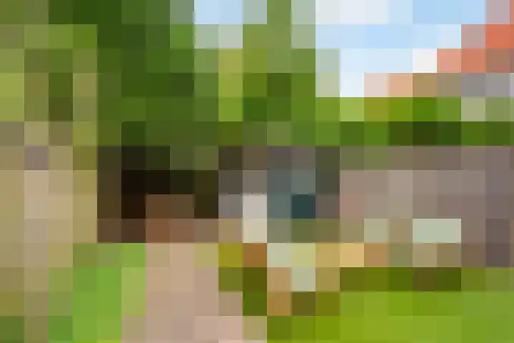 Kerstant van den Bergelaan 21 A Rotterdam thumbnail 26