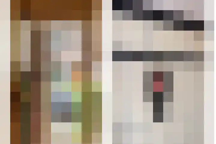 Kerstant van den Bergelaan 21 A Rotterdam thumbnail 4