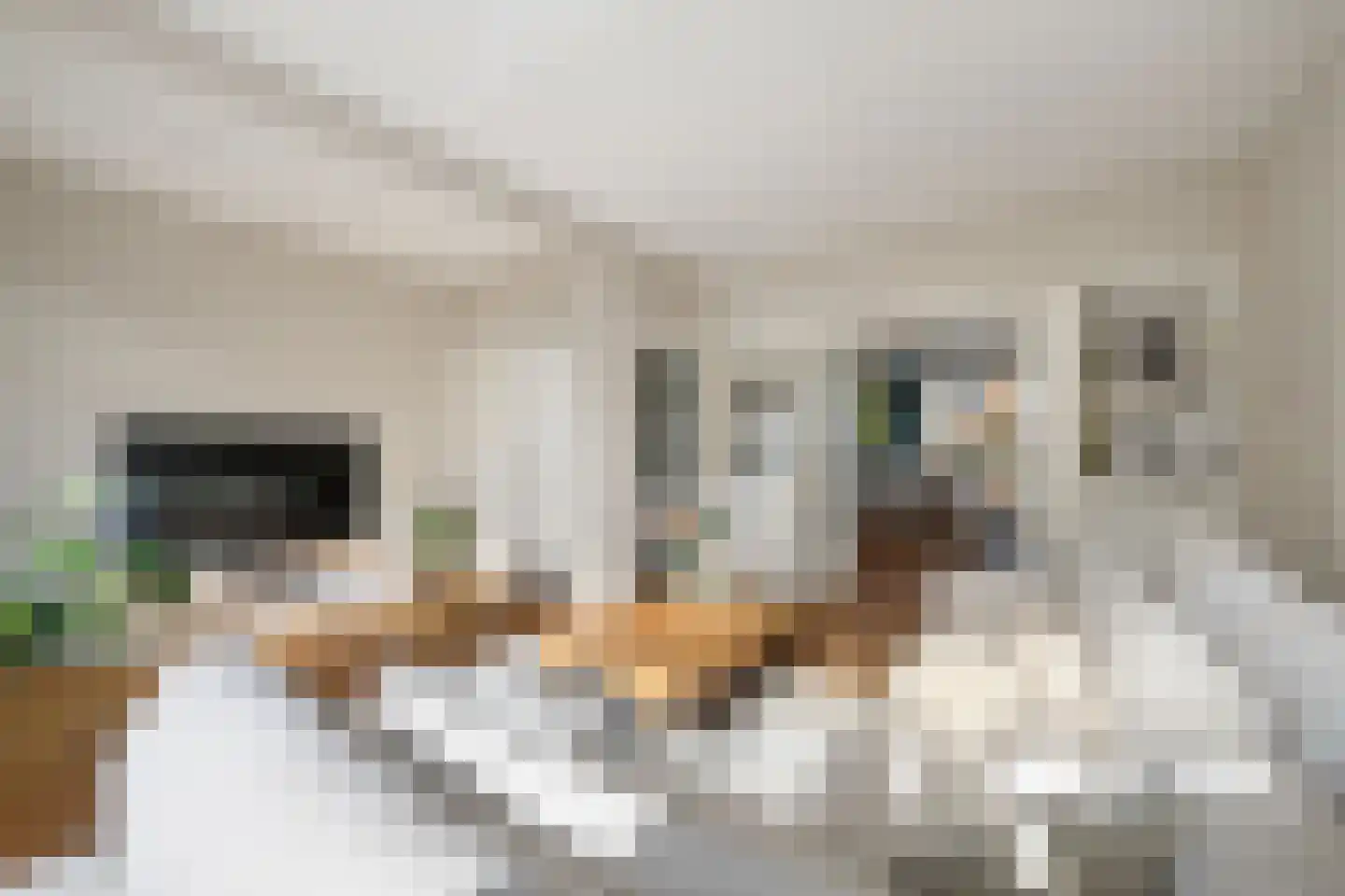 Kerstant van den Bergelaan 26 B Rotterdam thumbnail 10