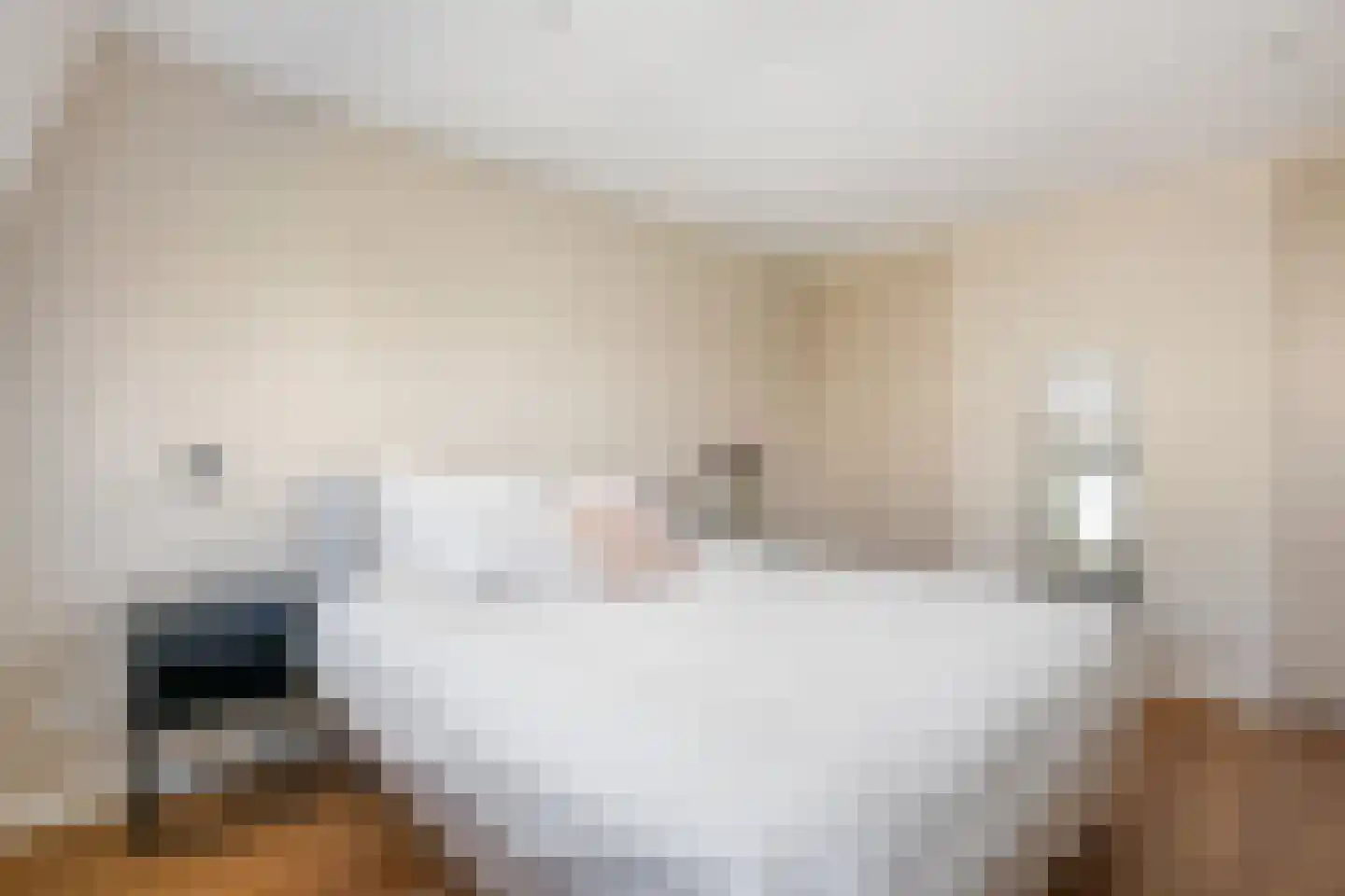 Kerstant van den Bergelaan 26 B Rotterdam thumbnail 21