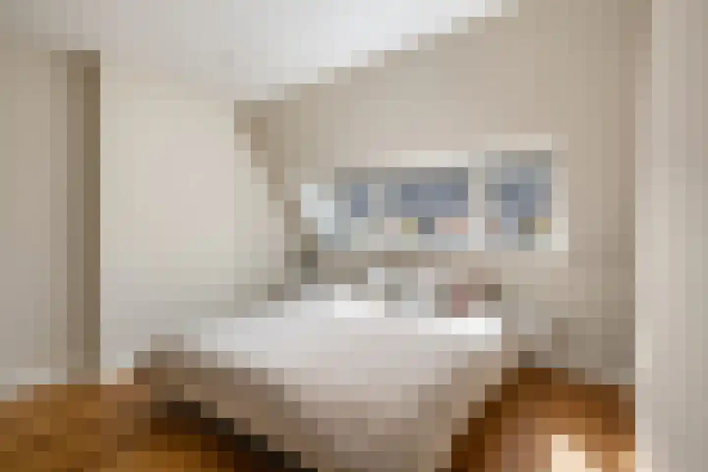 Kerstant van den Bergelaan 26 B Rotterdam thumbnail 23