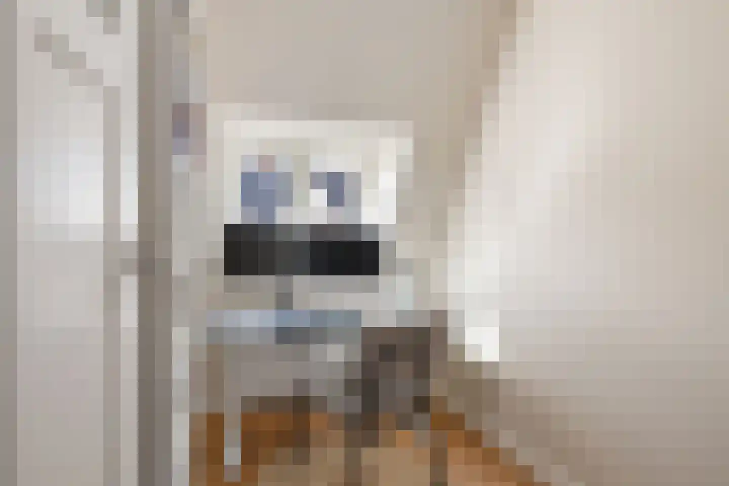 Kerstant van den Bergelaan 26 B Rotterdam thumbnail 26