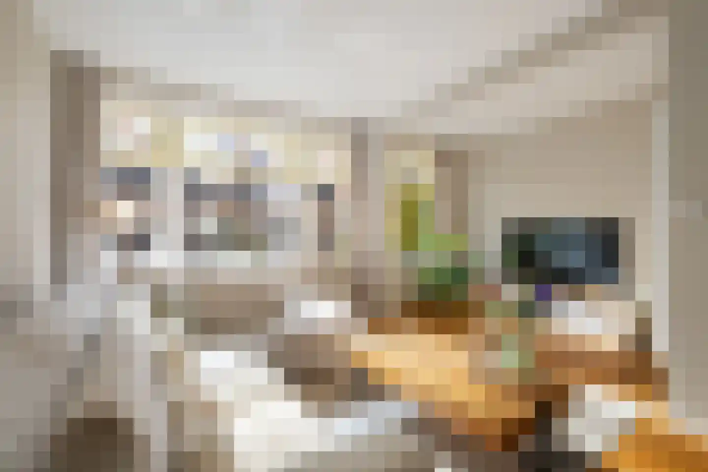 Kerstant van den Bergelaan 26 B Rotterdam thumbnail 6