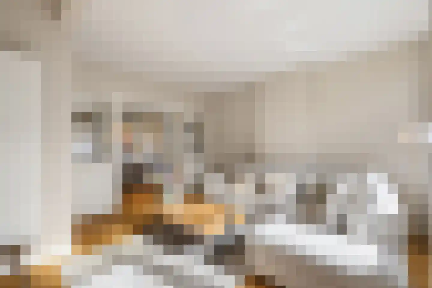 Kerstant van den Bergelaan 26 B Rotterdam thumbnail 8