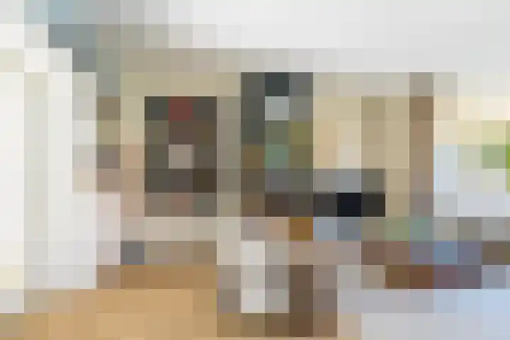 Kerstant van den Bergelaan 27 B Rotterdam thumbnail 11