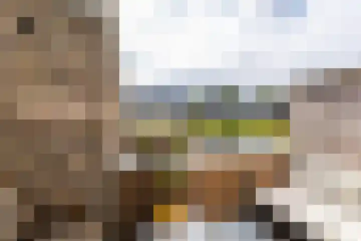 Kerstant van den Bergelaan 27 B Rotterdam thumbnail 18