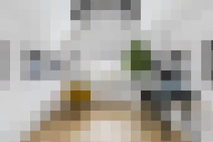 Kerstant van den Bergelaan 27 B Rotterdam thumbnail 21