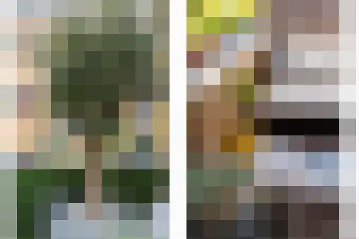 Kerstant van den Bergelaan 27 B Rotterdam thumbnail 25
