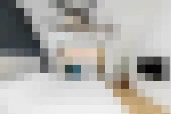 Kerstant van den Bergelaan 27 B Rotterdam thumbnail 35