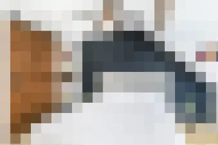 Kerstant van den Bergelaan 27 B Rotterdam thumbnail 36