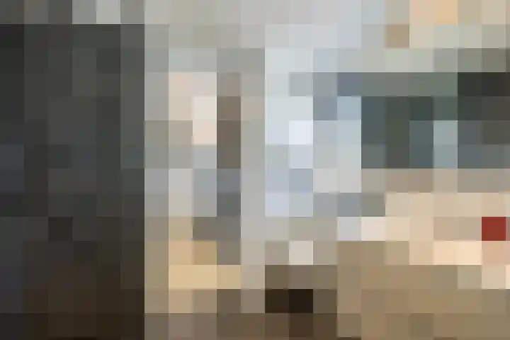 Kerstant van den Bergelaan 27 B Rotterdam thumbnail 44