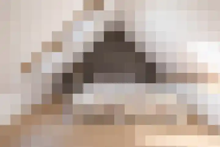 Kerstant van den Bergelaan 27 B Rotterdam thumbnail 47