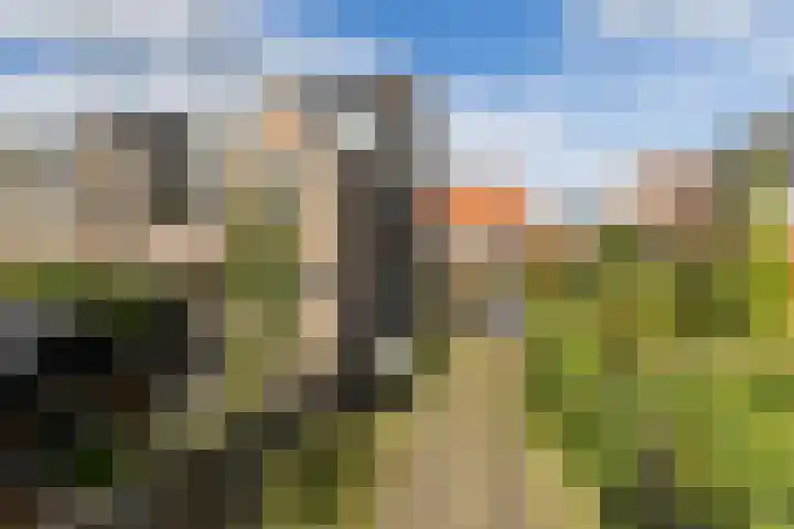 Kerstant van den Bergelaan 27 B Rotterdam thumbnail 53