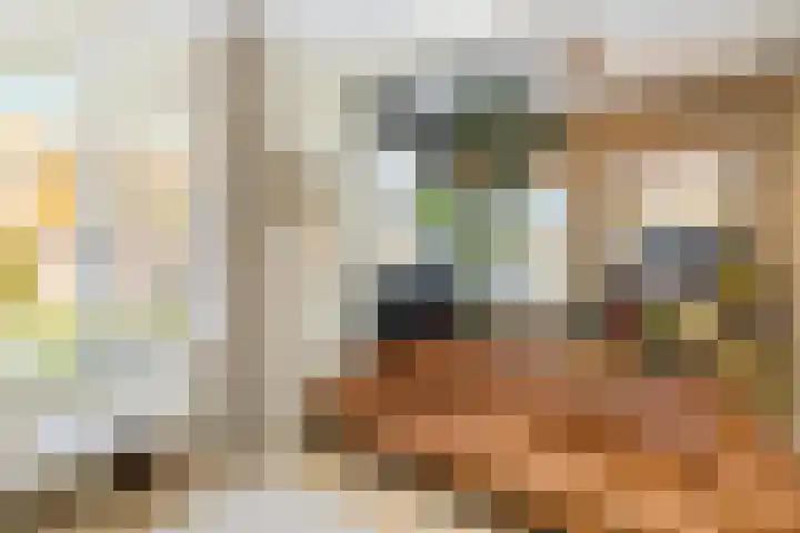 Kerstant van den Bergelaan 27 B Rotterdam thumbnail 7