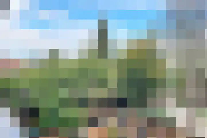 Kerstant van den Bergelaan 4 B Rotterdam thumbnail 14