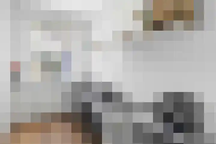 Kerstant van den Bergelaan 4 B Rotterdam thumbnail 21