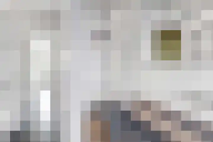 Kerstant van den Bergelaan 4 B Rotterdam thumbnail 26